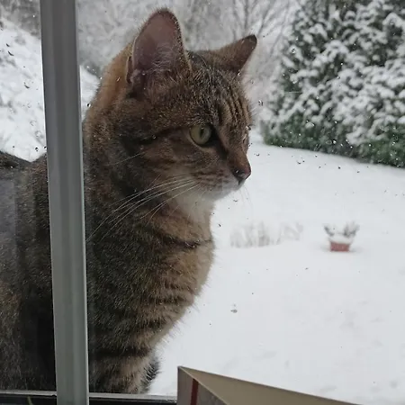 Pod Mala Sowa Privat bolig