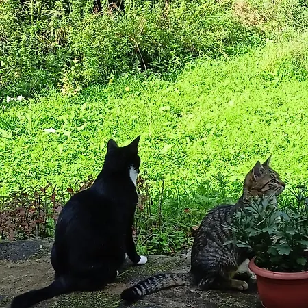 Privat bolig Pod Mala Sowa