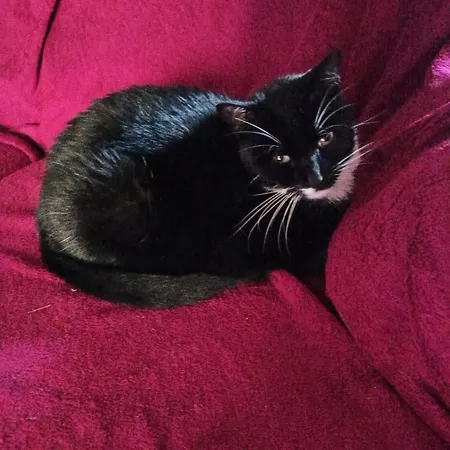 Pod Mala Sowa Walim (Lower Silesia)