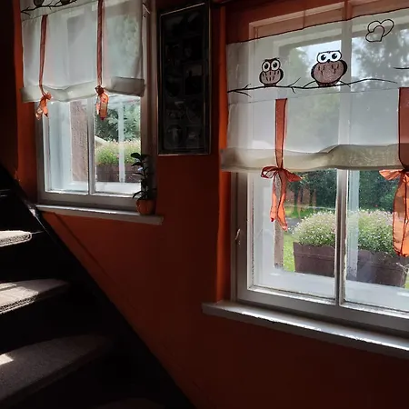 Pod Mala Sowa Homestay