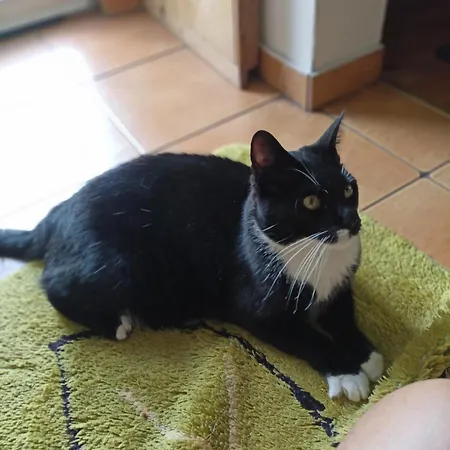 Privat bolig Pod Mala Sowa Walim (Lower Silesia)