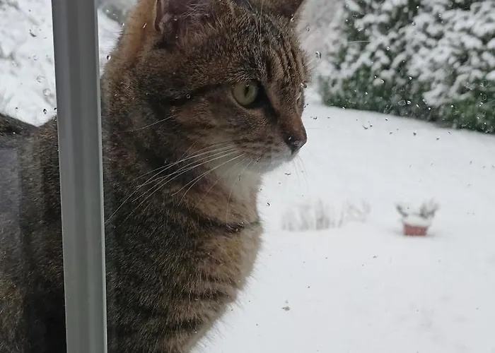 Pod Mala Sowa Проживание в семье