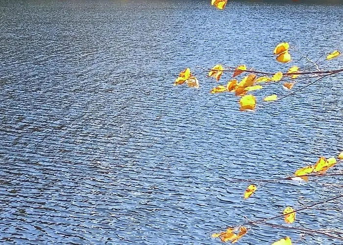 Pod Mala Sowa Homestay