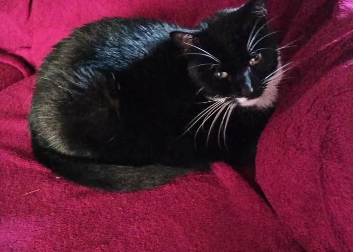 Pod Mala Sowa Валим