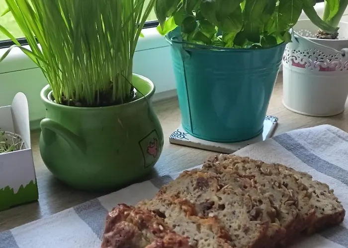 Проживание в семье Pod Mala Sowa