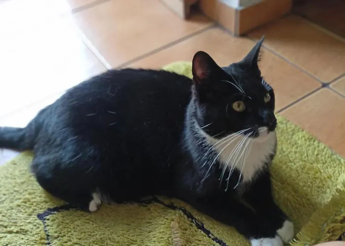 Homestay Pod Mala Sowa Walim (Lower Silesia)